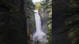 Salt Creek Falls, OR #waterfall #pnw