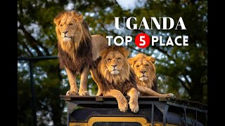 Top 5 Must Do Adventures in Uganda 2024!