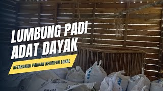 Lumbung Padi Adat Dayak | Sampai 11 Tahun Gabah Padi Masih Terjaga | Desa Gunung Raya Kec. Mantewe