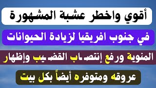 أسئلة متنوعة( دينية وثقافيه وجريئة )الجزء الخامس والستون /نسائم المعرفة✓ #438