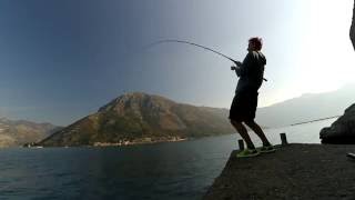 Shore jigging. Atlantic Bonito (Sarda sarda, Palamida). 26.09.2016.