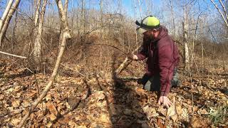 TREASURE HUNTING using Garrett 300 metal detector to find some stuff plus some other cool stuff