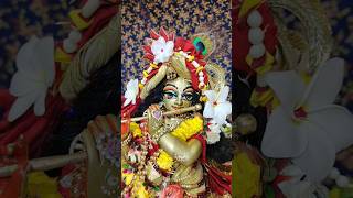 Daily Wonderful Radha Madhava Darshan #isckon #wonderful #radhakrishna #darshan #Radha_Madhav