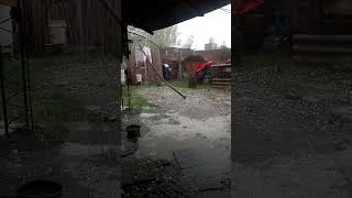 Granizo en la matanza 😦!!!!!