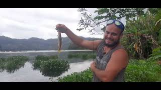 Pesca y más