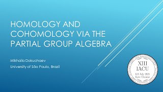 Mikhailo Dokuchaev, Homology and cohomology via the partial group algebra