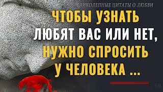 Великолепные Цитаты о Любви, которые не оставят Вас равнодушными  Афоризмы, мудрые мысли