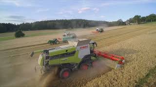 Wintergerstenernte 2024 im Erzgebirge Claas,New Holland Technik