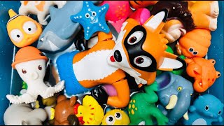 SEA ANIMALS FOR KIDS, ZOO AND WILD ANIMALS FOR KIDS, FARM ANIMALS FOR KIDS, ANIMAL TOYS IN WATER