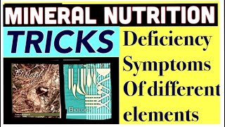 Mineral nutrition tricks || Deficiency symptoms of different elements || ncert || neet