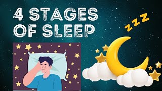 What Are the Key Stages in the Sleep Cycle? #sleep #sleeping