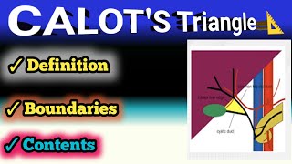 calot triangle | cystohepatic triangle