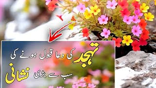 Aqwal e zareen new🌹🥀💕|Aqwal e zareen in Urdu|Urdu quotes|Urdu Islamic quotes|best Urdu Many Hopes