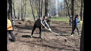 Субботник в парке им. Пушкина