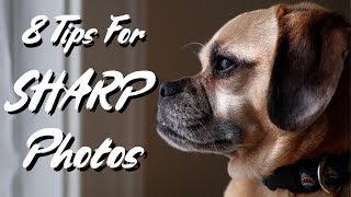 8 Tips For Taking SHARP Photos! (2019)