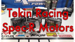 Tekin Spec R Motor - Product Review