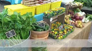 Santa Monica's Main Street Farmers Market