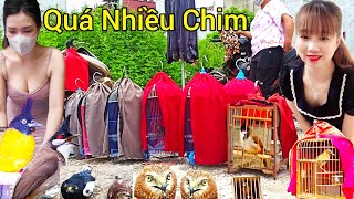 Phát Hiện Chợ Chim Cảnh Miền Núi | Chợ Chim Lớn Nhất Việt Nam