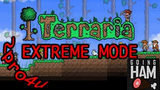 Terraria - Extreme Mode