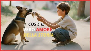 Cos'è il Vero Amore, Bella Storia