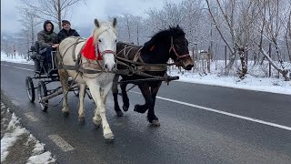 Plimbare cu trăsura-Doina și Zâna-Budești, Maramures#2023