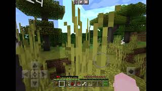 Minecraft survivel ||ep 1