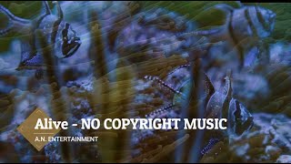 Backsound No Copyright - A.N. Entertainment | Travel - Alive