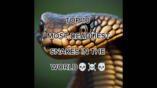 Top 10 most deadliest snakes in the world💀☠️ #explore#trendingshorts#viralvideo#trending#video