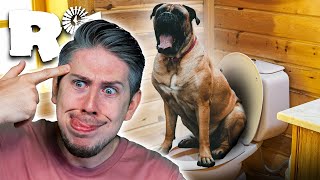 Could a dog use a toilet? (Ranch Simulator)