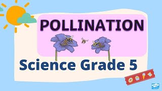 pollination : science grade 5