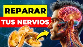 TOP 10 Alimentos Que Pueden Curar Milagrosamente El Daño A Los Nervios