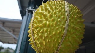 ES CENDOL ADA TOPING DURIAN ? | INDONESIA STREET FOOD