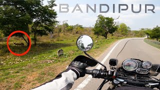 The beautiful BANDIPUR | Mysuru to Coonoor | Summer Ride | Tamil Vlog |