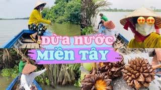 CHÈO CHUYỀN ĐI CHẶT DỪA NƯỚC MIỀN TÂY