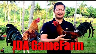 Lets Visit The Farm Of JDA Gamefarm