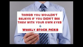 You Wouldn't Believe It If You Didn't See It Yourself & Weekly Stock Picks