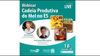 Webinar Cadeia Produtiva do Mel no ES