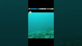 jab logon Shark pe camera lagaya #shorts #shark #shortvideo