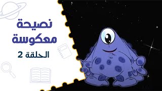 نصيحة معكوسة – صح أم خطأ | الحلقة الثانية