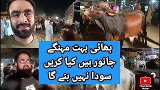 لاہور کی مختلف بکرا منڈی کی اپڈیٹUpdate of various goat markets of Lahore