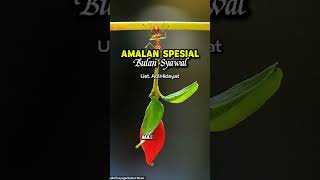 Amalan Spesial di Bulan Syawal