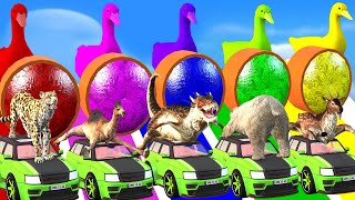 5 Giant Ducks Car Game with Funny Animals, Tiger, Elephant, Deer, Dino, Rhino, Mammoth