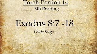 Torah Tidbit Parshat Va'eira, Pt 5, Exodus 8:7-18