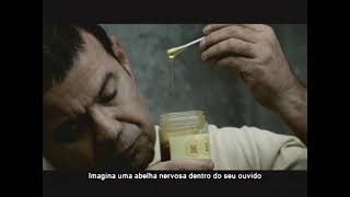 COMERCIAL TSE - ABELHA