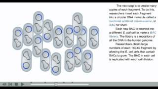 Recombinant DNA technology animation