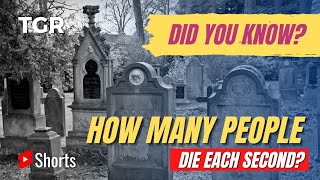 How Many People Die Each Second? | Death Rate | #ShortVideo 026