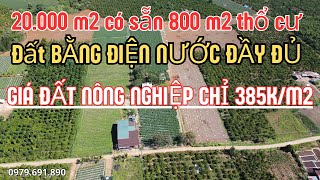 Không thể kiếm được lô thứ hai nếu ở làm farm, 20.000m2, 800m2 thổ cư,giá chỉ 385k/m2