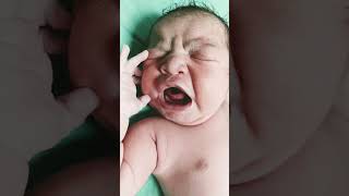 cyte#trendingshorts #cutebaby#beautiful #newstatus ❤️❤️#my beautiful ❤️❤️❤️❤️ love##subscribe 👍👍