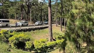 Camp John Hay, Baguio City #campjohnhay #baguiocity .