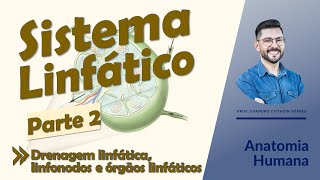 Sistema linfático - Aula 02 - Drenagem linfática, linfonodos, órgãos linfáticos e principais cadeias